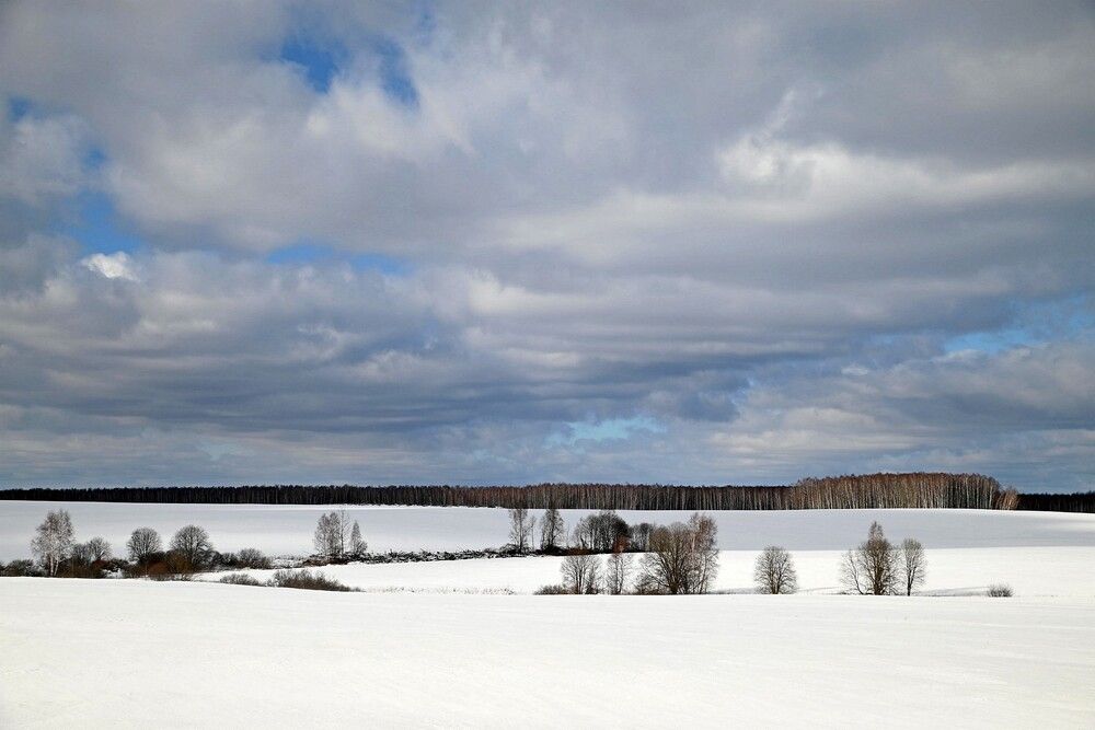 Зима в полях