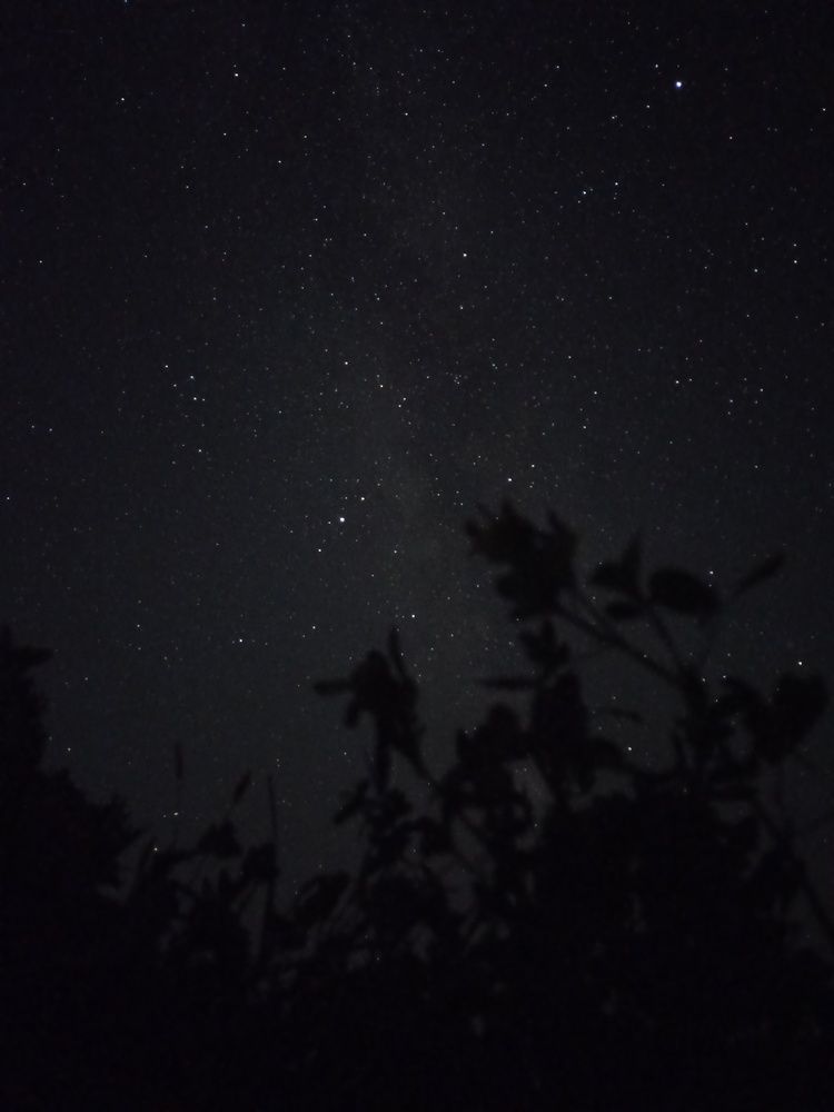 Photograph by Юлия