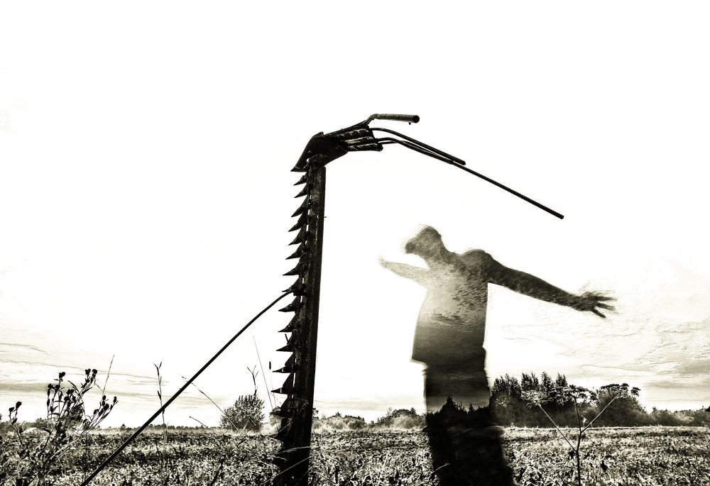 Photograph by Юрий Рязанов