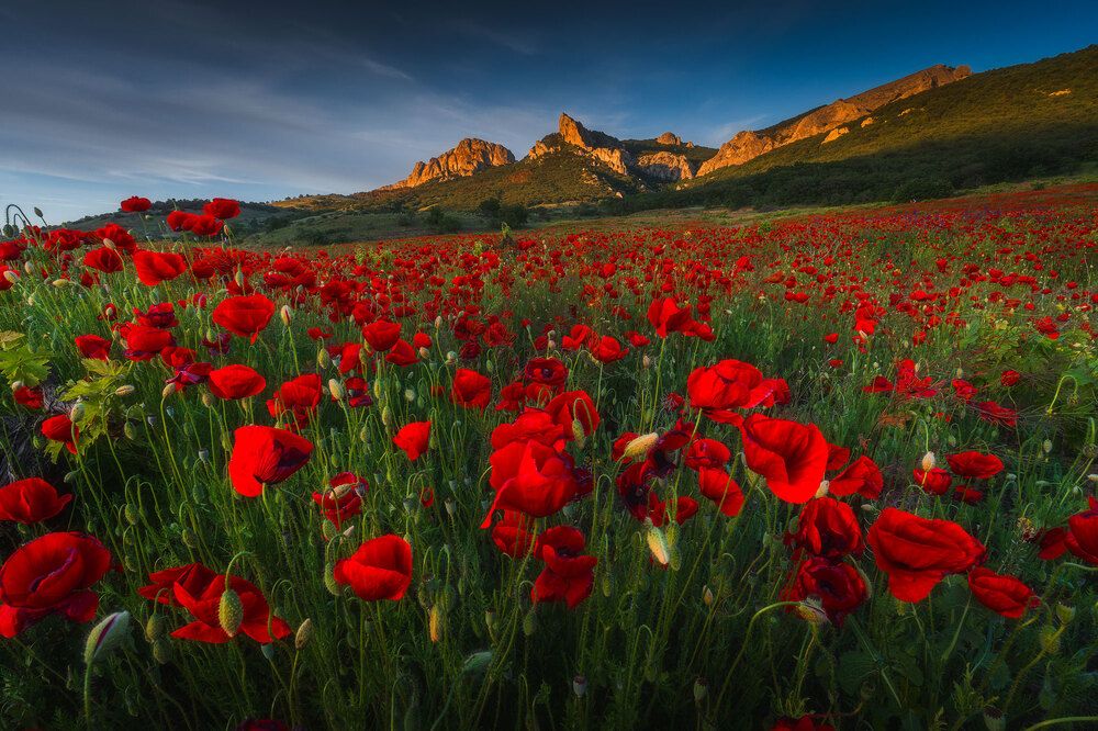 Photograph by Дмитров Андрей