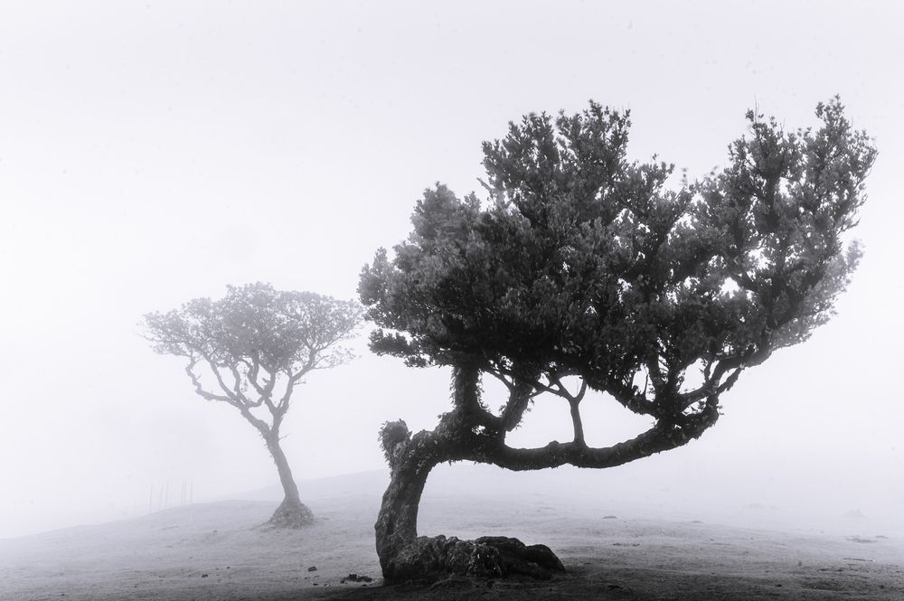 Photograph by ABHISHEK DEY