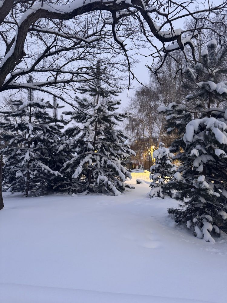 Photograph by Бойкова Наталия