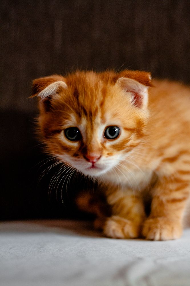 Фотография автора Никита Сагунов