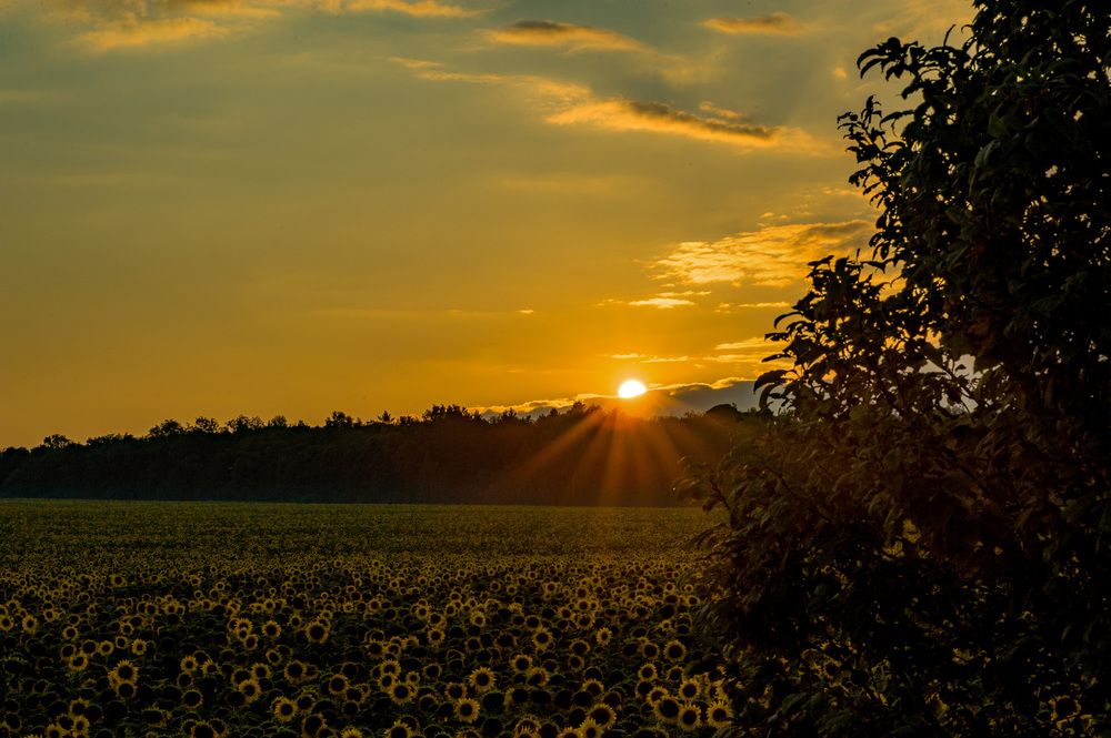 Фотография автора Дмитрий Герасимов