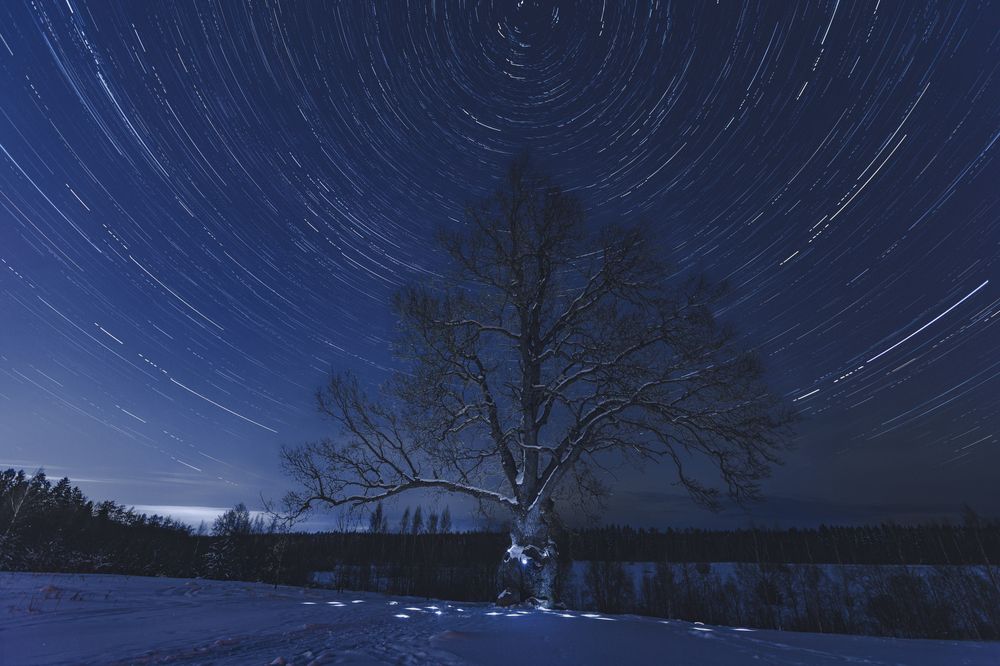 Photograph by Дмитрий Катаругин