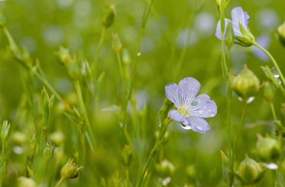 Фотография автора Дмитрий Герасимов