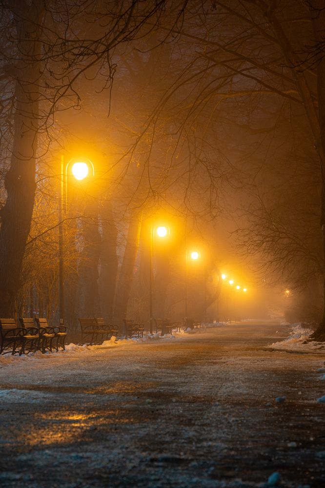 Photograph by Anton Leonchikov