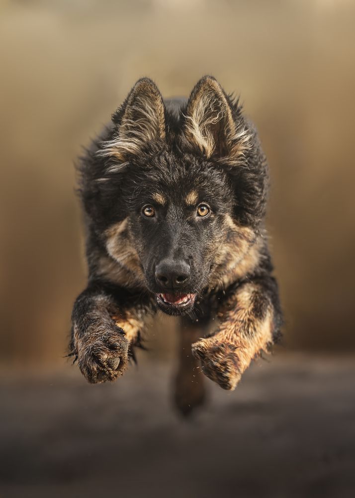 Photograph by Elke Braet