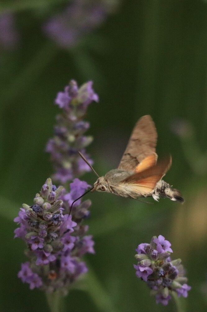 Photograph by Мария Глухова