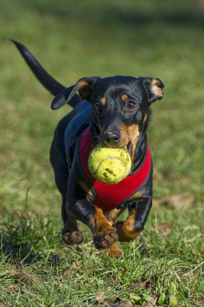 Photograph by Camilla Zocchi