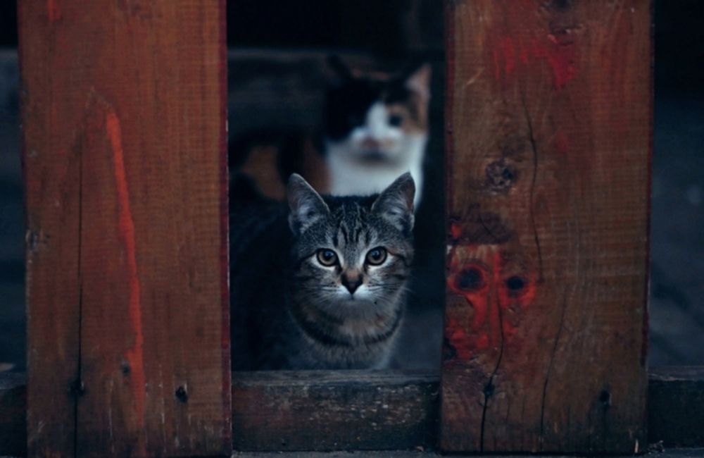 Photograph by Татьяна Полоцкая