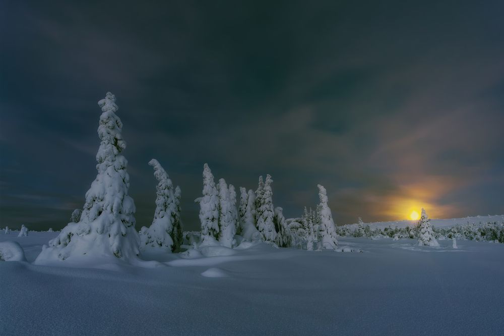 Фотография автора виталий терешонок