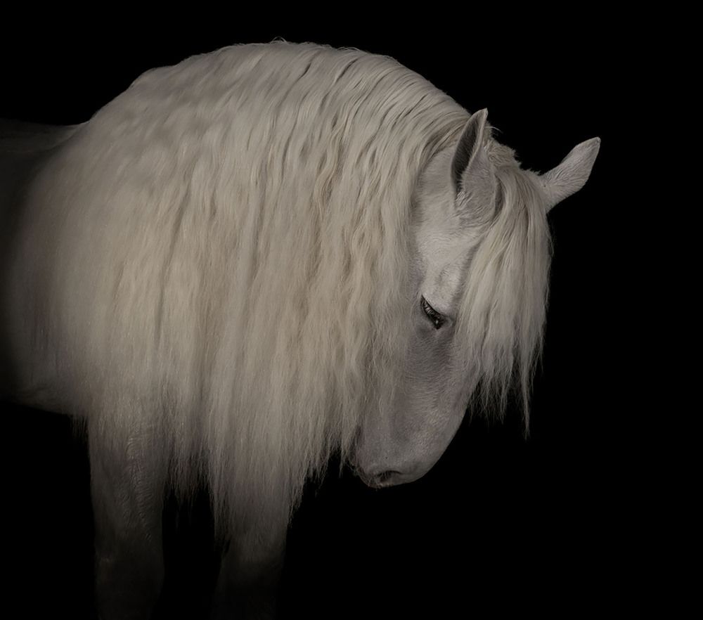 Photograph by violaine boulogne