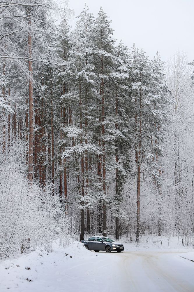 Photograph by Наталья Суслова