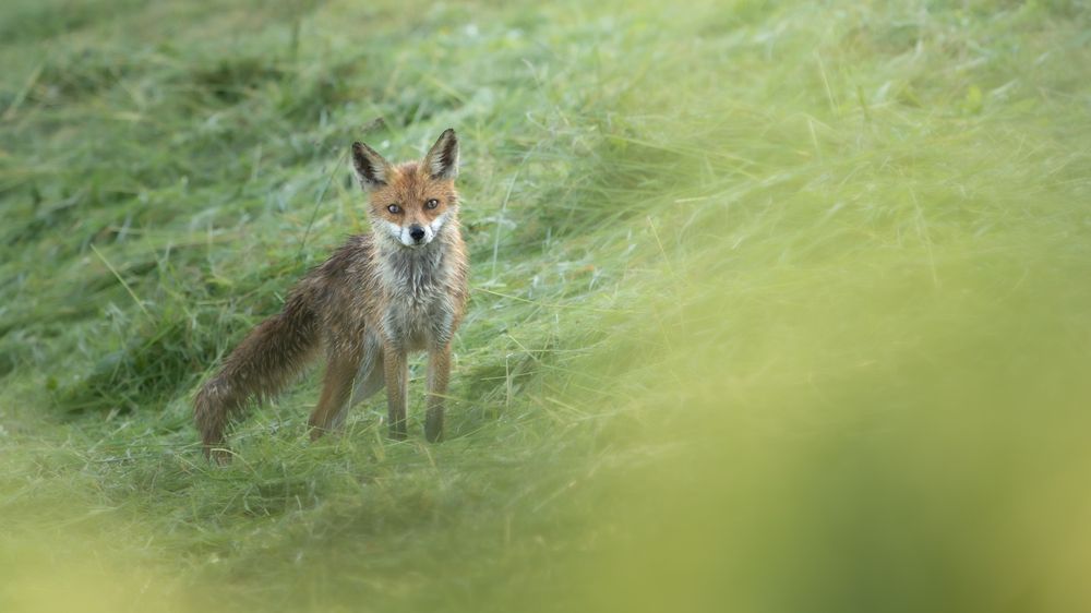 Photograph by Emanuele Zucchi