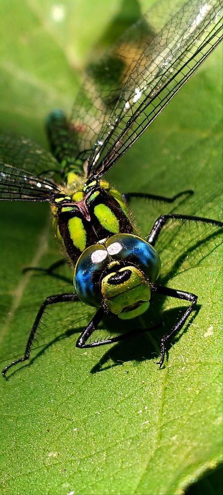 Photograph by Nаtaliia Zolotova