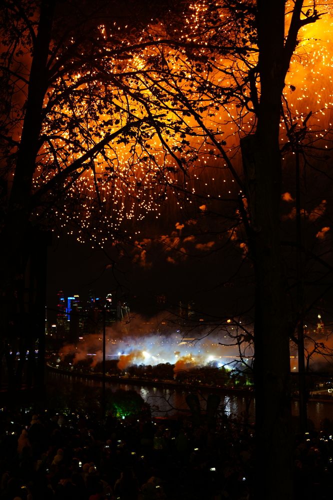 Фотография автора Светлана Зимина