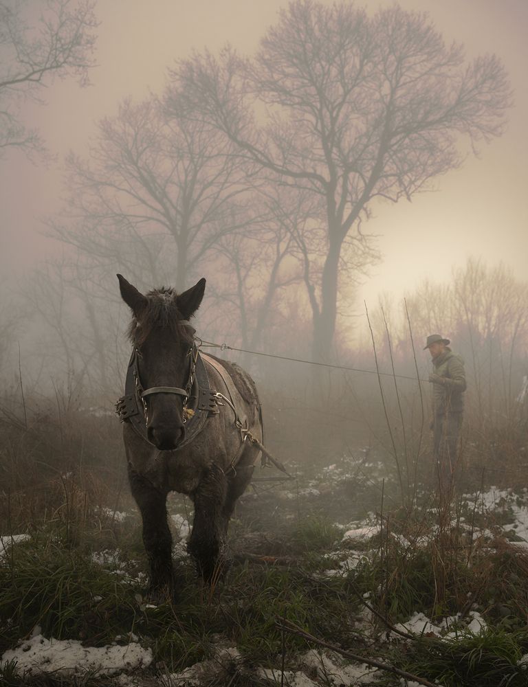 Photograph by violaine boulogne