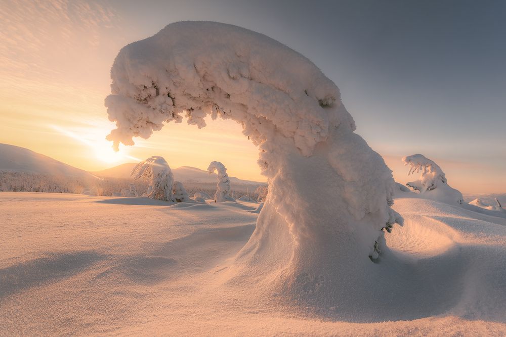 Пробуждение