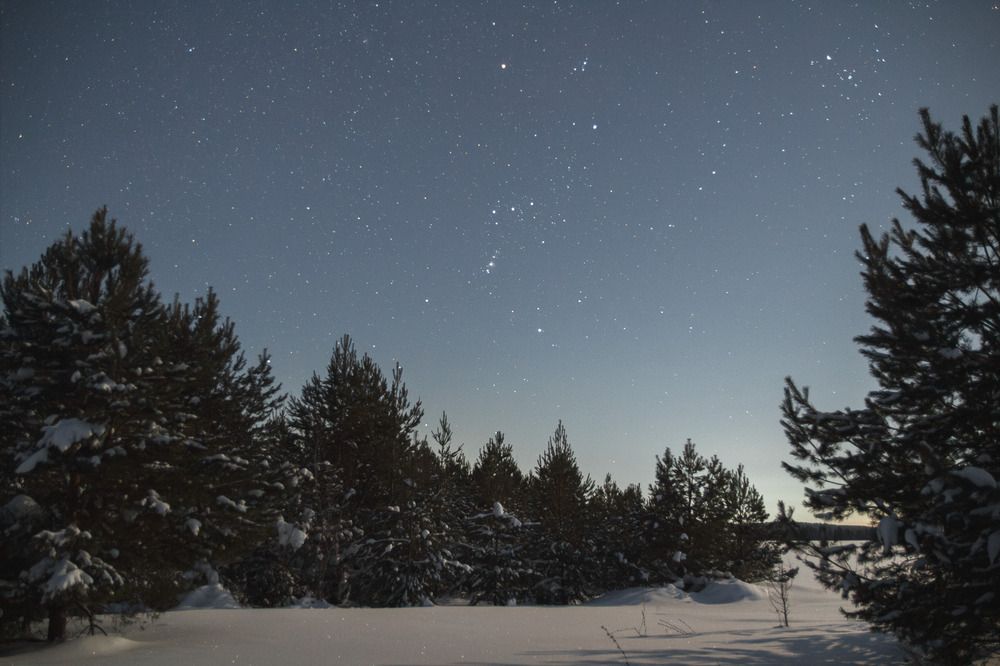 Photograph by Oleg Karpov