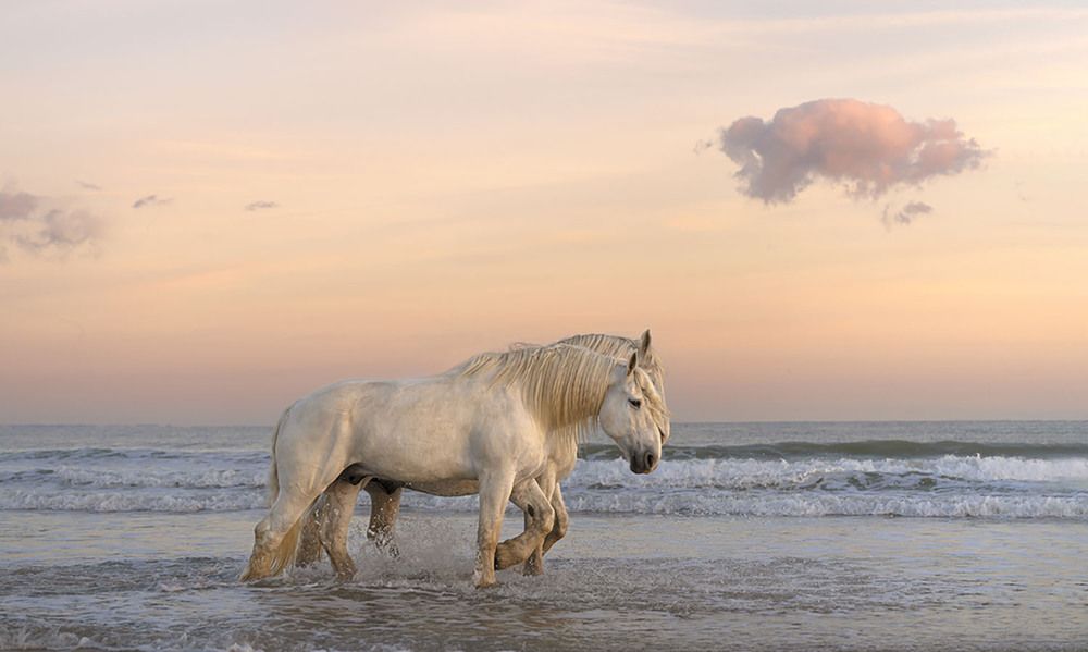 Photograph by violaine boulogne