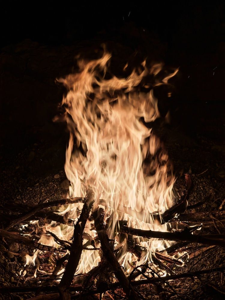 Фотография автора OXANA NAUMOVA