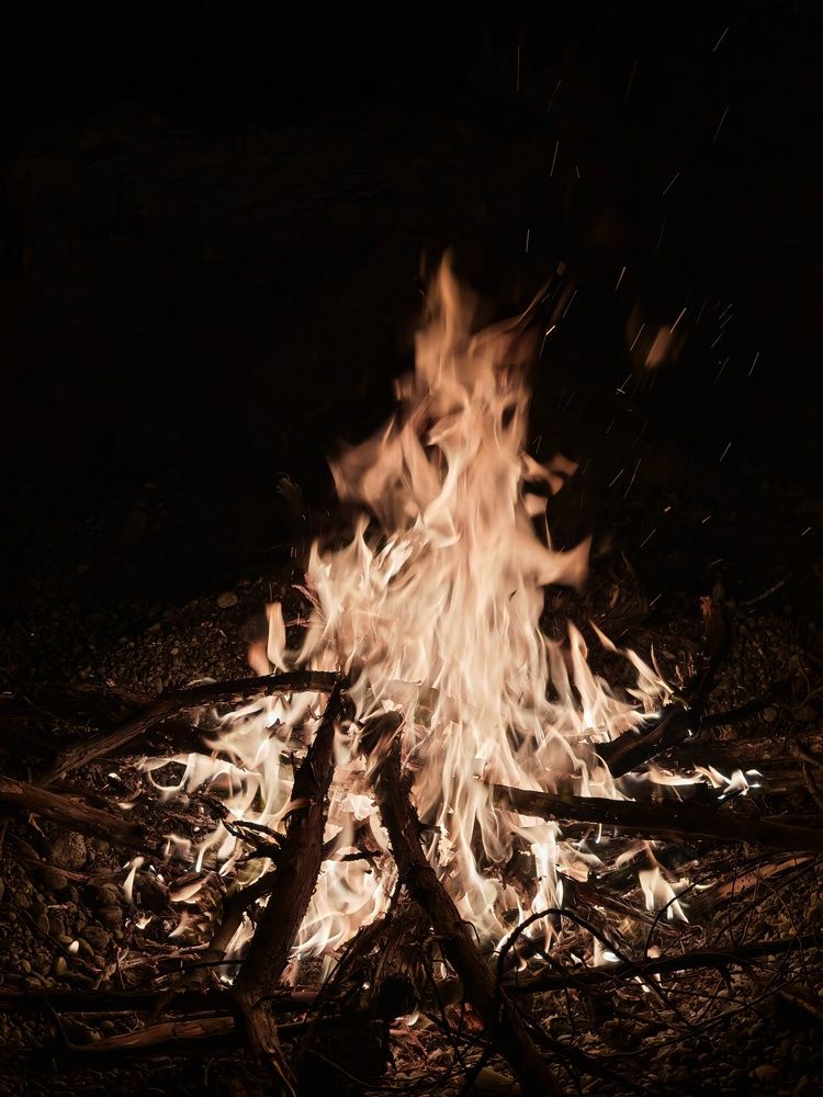 Фотография автора OXANA NAUMOVA