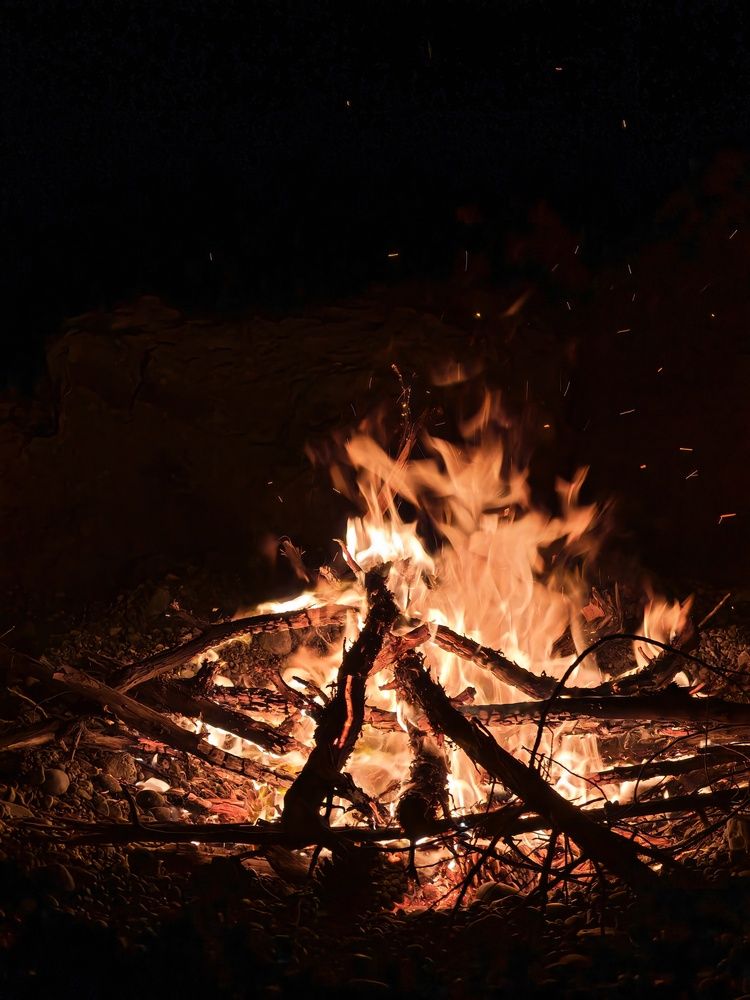 Фотография автора OXANA NAUMOVA