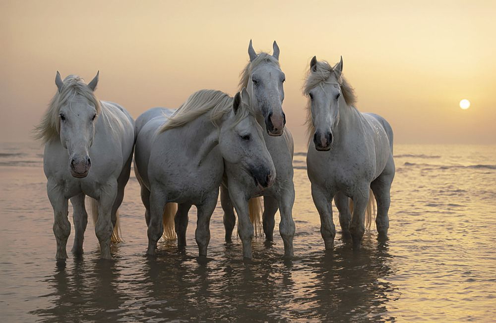 Photograph by violaine boulogne