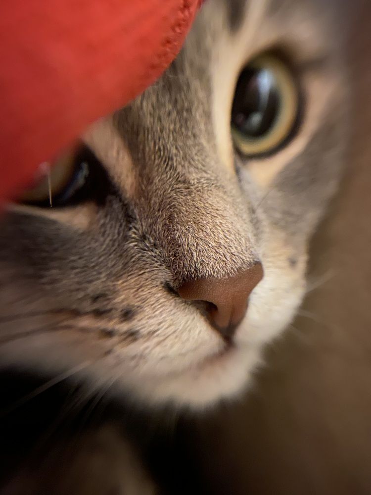 Photograph by Ольга Осинина