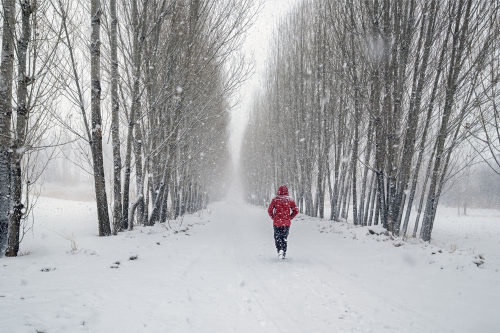 Photograph by Onder Kokturk