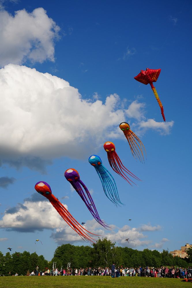 Фотография автора Светлана Зимина