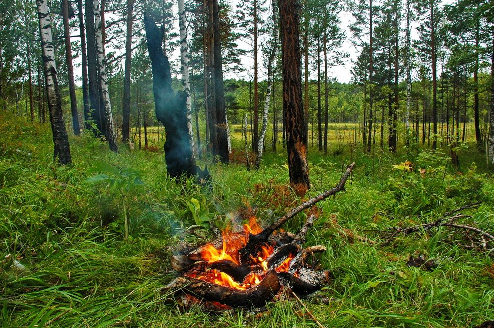 Фотография автора Сергей Тимофеев