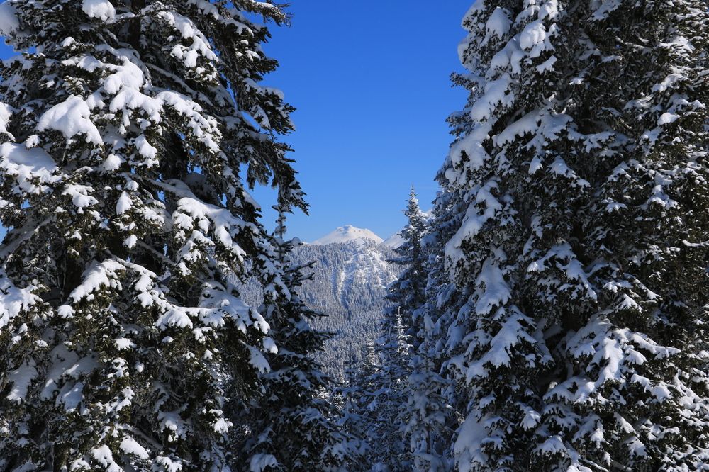 Photograph by Cengiz Yalcin