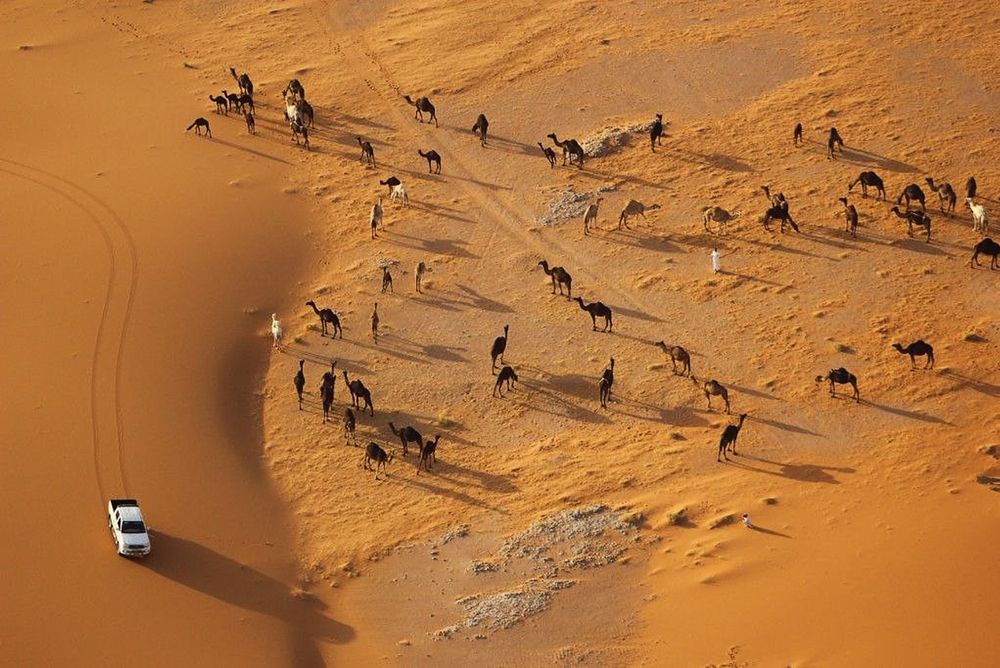 Photograph by Александр Шалагин