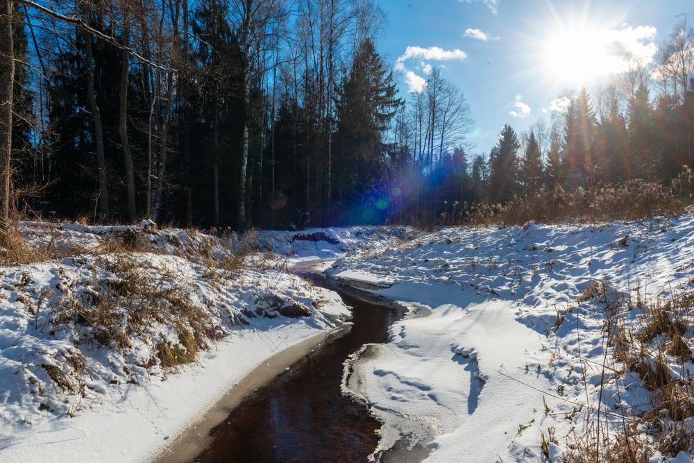 Фотография автора Aлексей Игнатьев