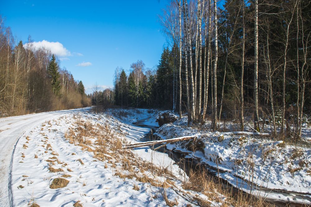 Фотография автора Aлексей Игнатьев