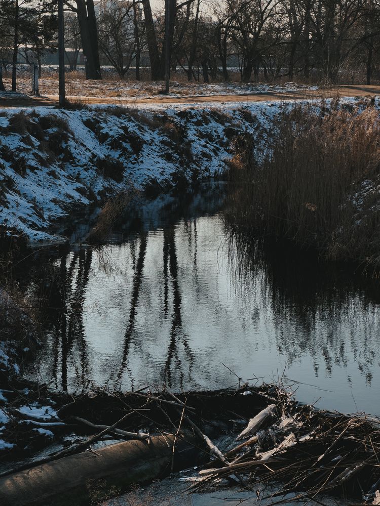 Photograph by Natalia Schastnaya