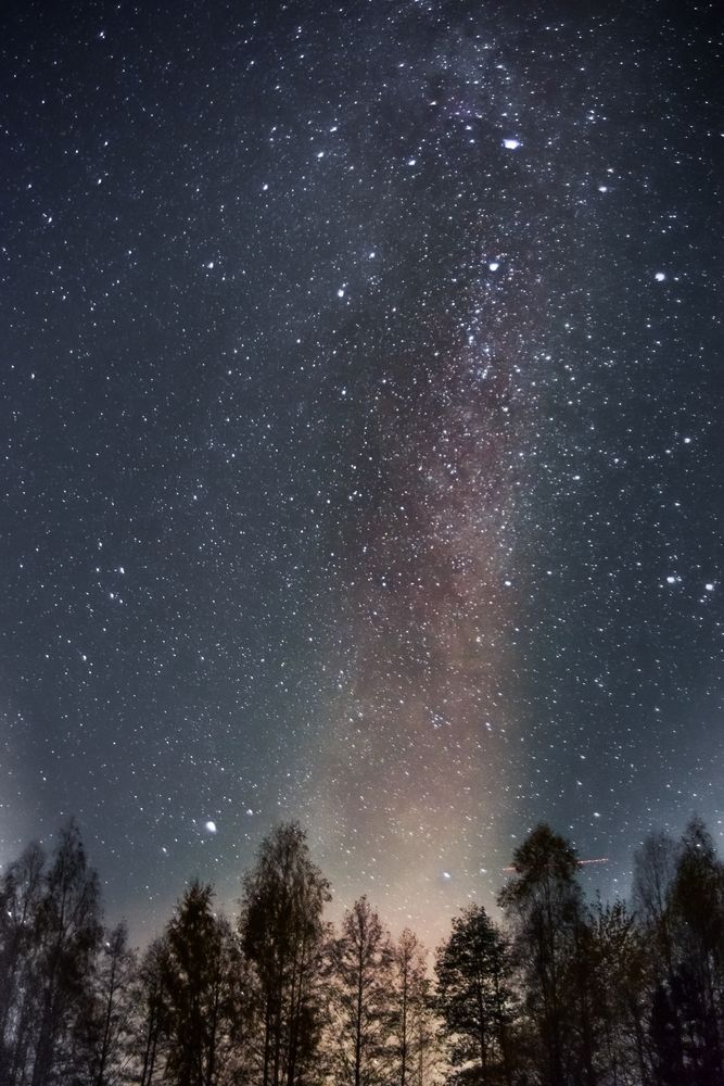 Фотография автора Aлексей Игнатьев