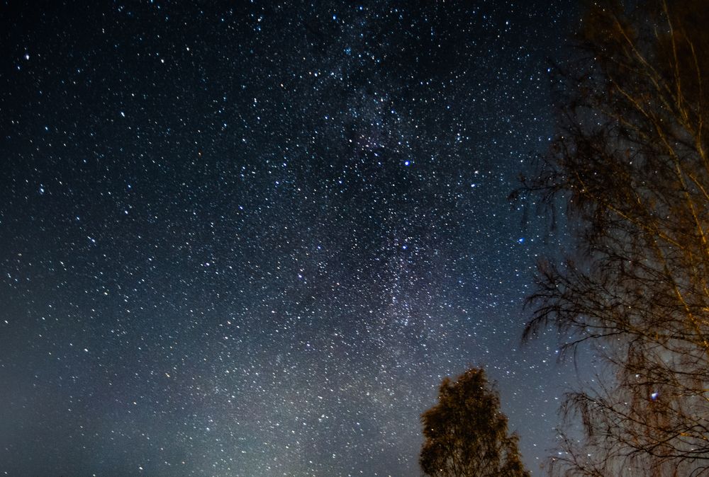 Фотография автора Aлексей Игнатьев