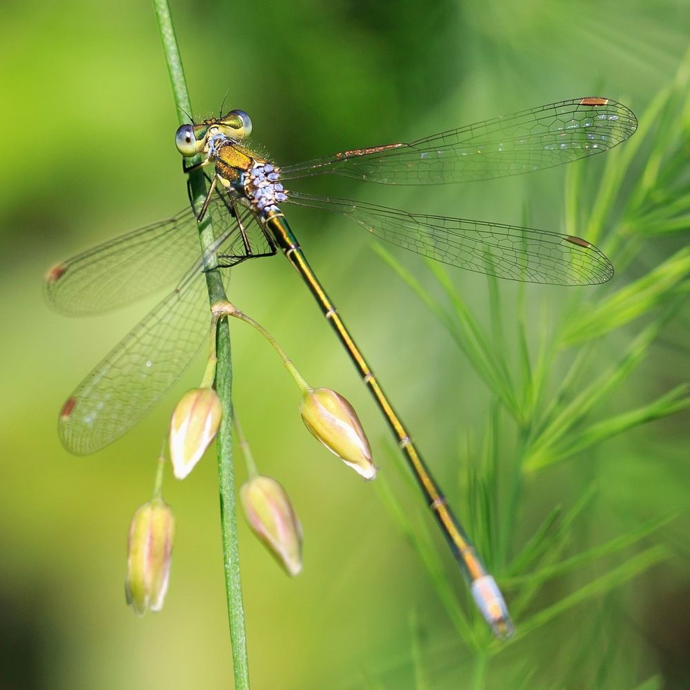 Photograph by Oleg Patrin