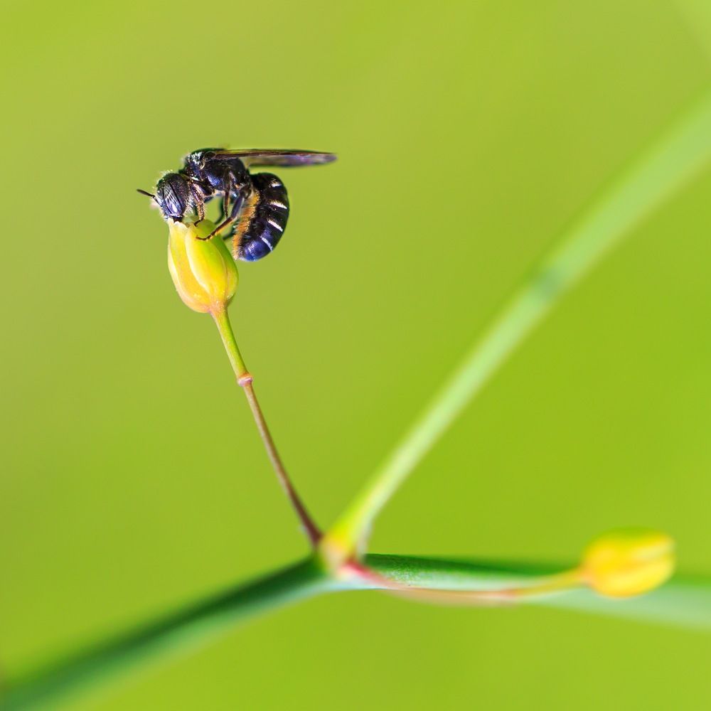 Photograph by Oleg Patrin