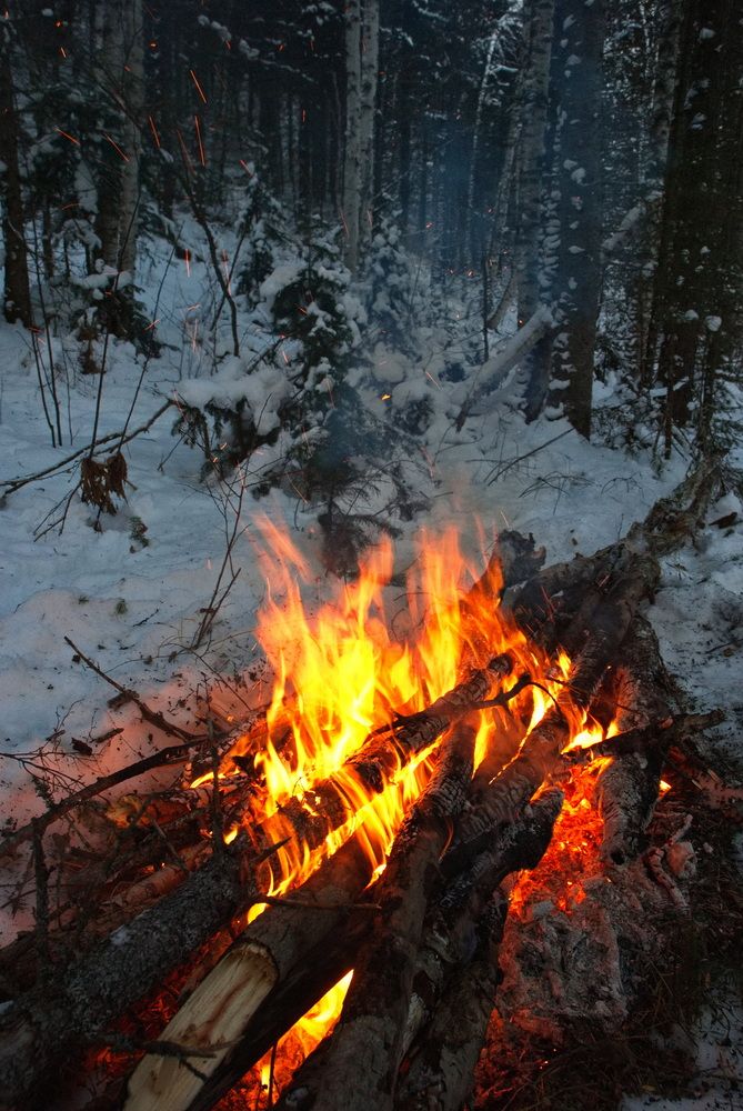 Фотография автора Сергей Тимофеев