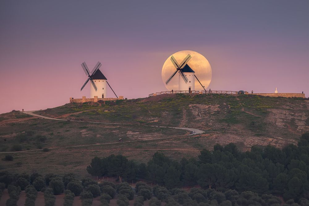 Photograph by Jesús Manzaneque