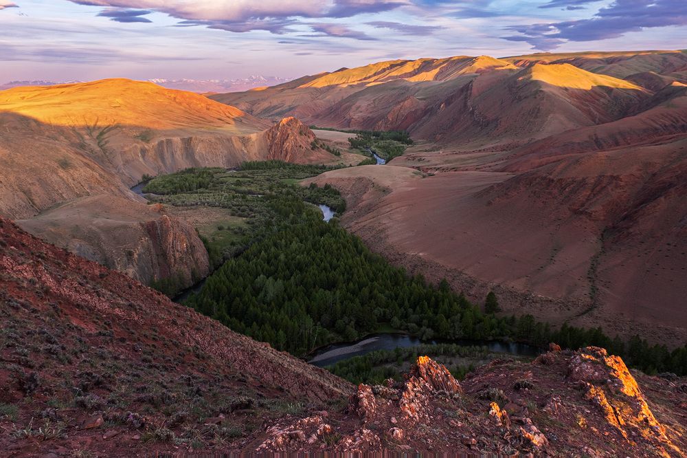 Photograph by Галина Юдина