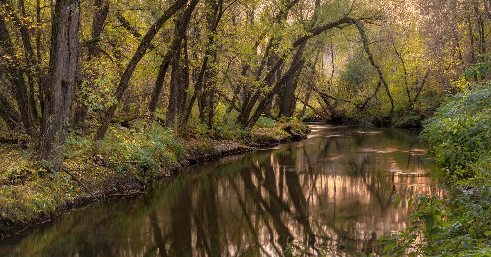 Октябрьский день на речке Сходня