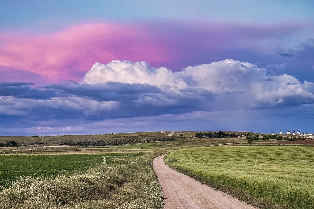 Photograph by Jesús Manzaneque