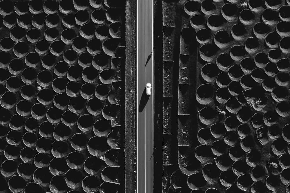 Road Through the Shadows