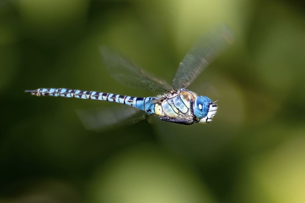 Photograph by Бурыкин Илья