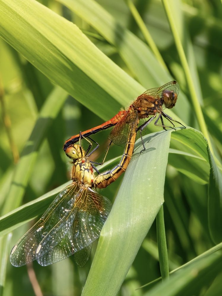 Photograph by Бурыкин Илья